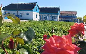Pensiune Agroturistica CASA LETEA